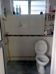 Blk 240 Serangoon Avenue 2 (Serangoon), HDB 4 Rooms #638194391